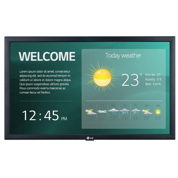 LG 22 LED IPS 1920X1080 16:9 250